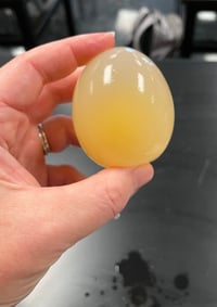 egg